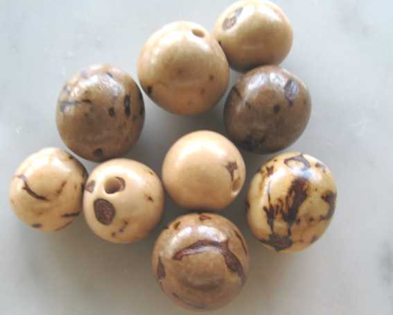 Buriti - Embalagem (E) com 10 sementes